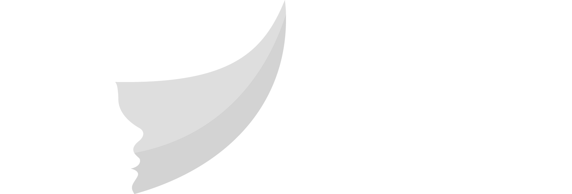 The Brigid Alliance Logo